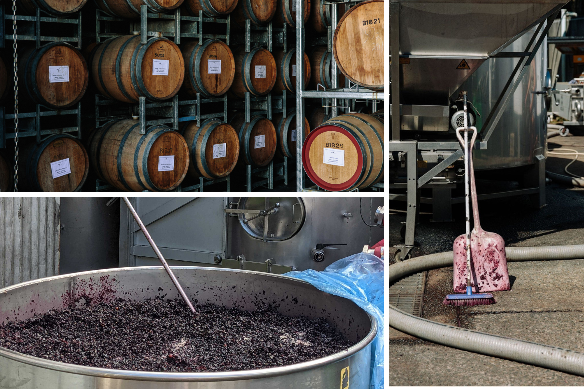 Johann sees countless possibilities for using the winery equipment in Boxer Brewing.