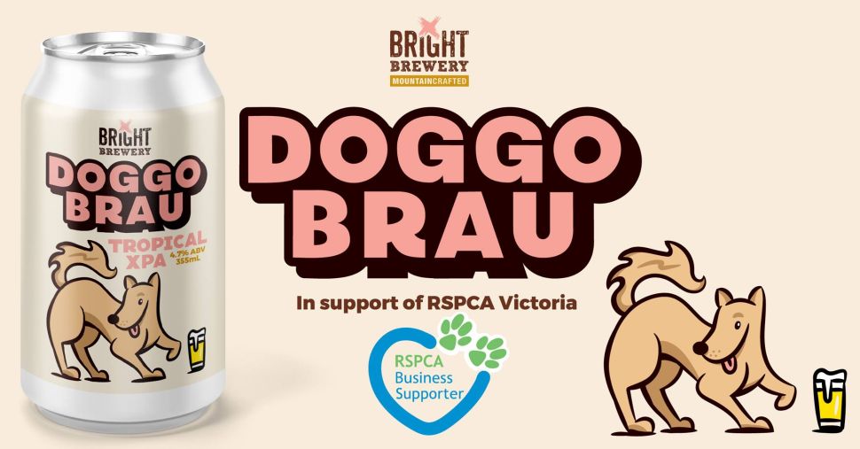 Bright Brewery DoggoBrau Launch at Carwyn Cellars