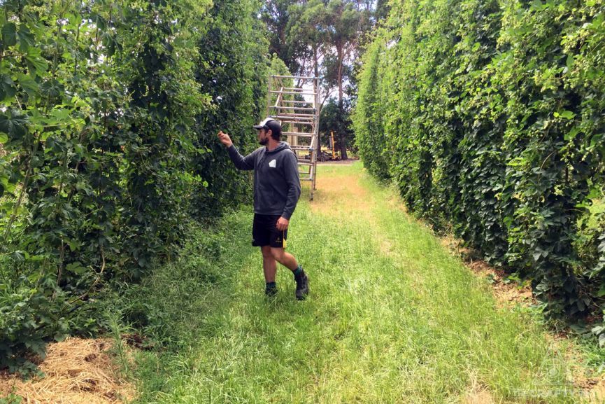 Rocky Ridge Takes Over The Noble Hops (NSW)